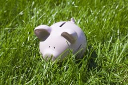 Une tirelire dans l'herbe