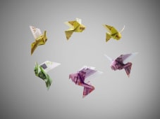 Oiseaux origami en euros