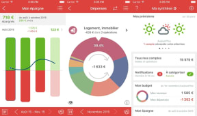 Interface Linxo