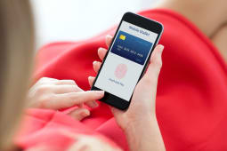 Touche ID, Apple Pay