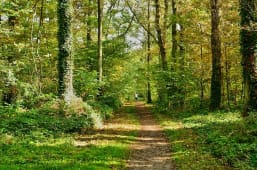 Verneuil-sur-Seine en 2016