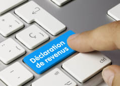 Dclaration en ligne