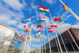 Drapeaux europens sur le Kirchberg  Luxembourg