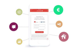 Interface Linxo Connect