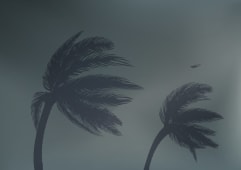 Une tornade