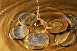 Des pices et de l'eau