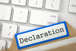 Dclaration de revenus en ligne