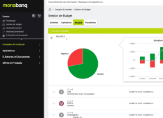 Aperu de la gestion budgtaire sur le site de Monabanq