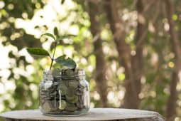 Un bocal de pices dans la fort