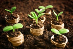 Ecologie et pargne