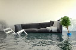 Dgt des eaux