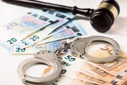 Contrle fiscal