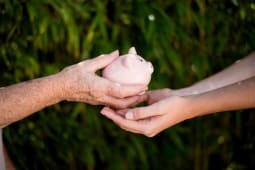 Gros plan de la main d'une femme ge qui transmet une tirelire  une jeune femme