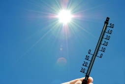 Canicule