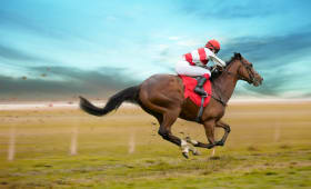 Un cheval de course