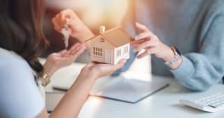 immobilier 