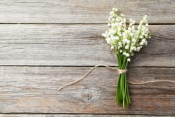bouquet de muguet