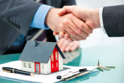 immobilier 