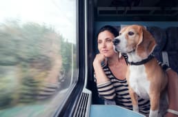 SNCF, tarif animaux SNCF