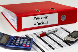 loi pouvoir d'achat