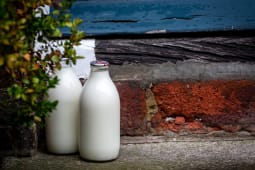 lait