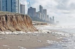 obligation informations risques immobilier