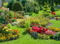 jardin maison