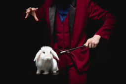 Un magicien fait disparatre un lapin