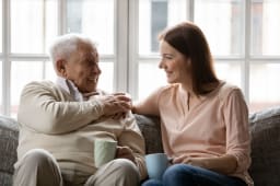 impts immobilier usufruit 