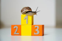 Escargot podium