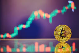 Impt et crypto