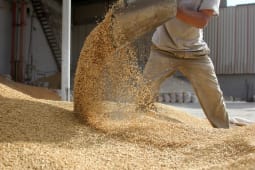 Chque bois :  Faut-il acheter ses pellets en vrac pour en profiter ? 