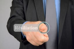 Tlphonie, assurance, nergie... le nouveau bouton rsiliation est-il une rvolution ?