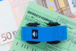 vignette verte assurance