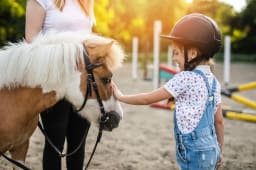 poney club