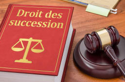 Facilit succession