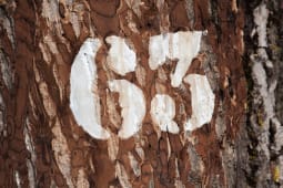 63 ans