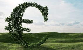 euro vert