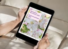 Brochure pratique impts