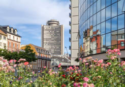March immobilier  Mulhouse