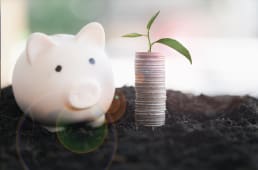 Plan pargne avenir climat