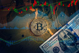 fluctuations cours bitcoin