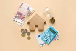 Une maison miniature, une ampoule, des pices de monnaie et billets.