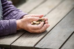 Le minimum vieillesse a augment au 1er janvier 2025.