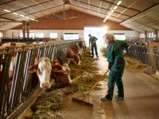 Voici ce que touche rellement un agriculteur