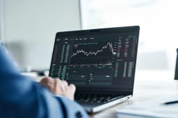 Un investisseur analysant le march� boursier sur son ordinateur.