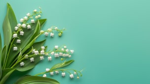 Brins de muguet blanc sur fond vert pastel.