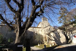Vieil arbre devant une �glise en pierre sous le soleil. Saint Martin les eaux