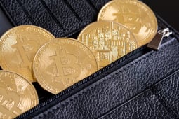 Cryptomonnaies : Pi�ces de Bitcoin dans un portefeuille