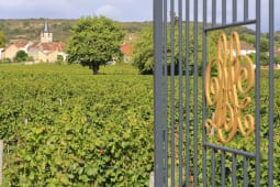 Vignes verdoyantes, portail en fer forg&eacute;, village et &eacute;glise.